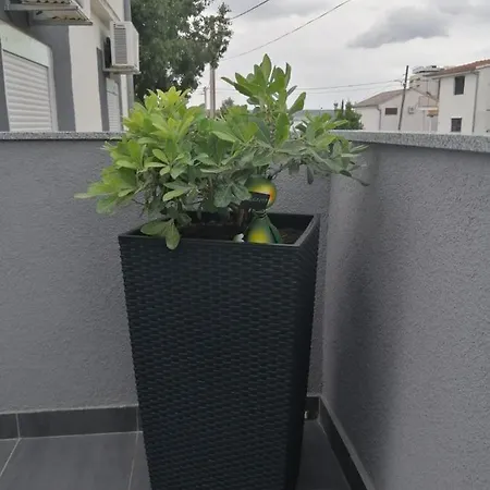 House Lara Casa de Férias Starigrad Paklenica