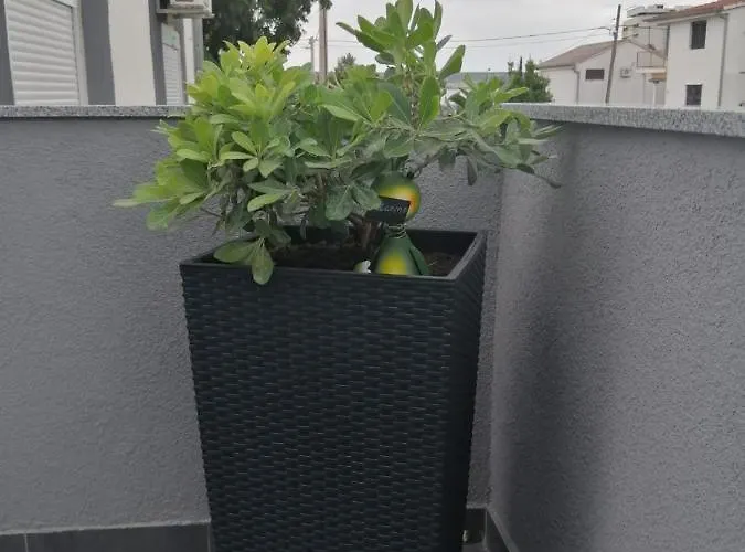 House Lara Сasa de vacaciones Starigrad Paklenica